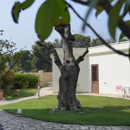 Otel Hermosa 4*